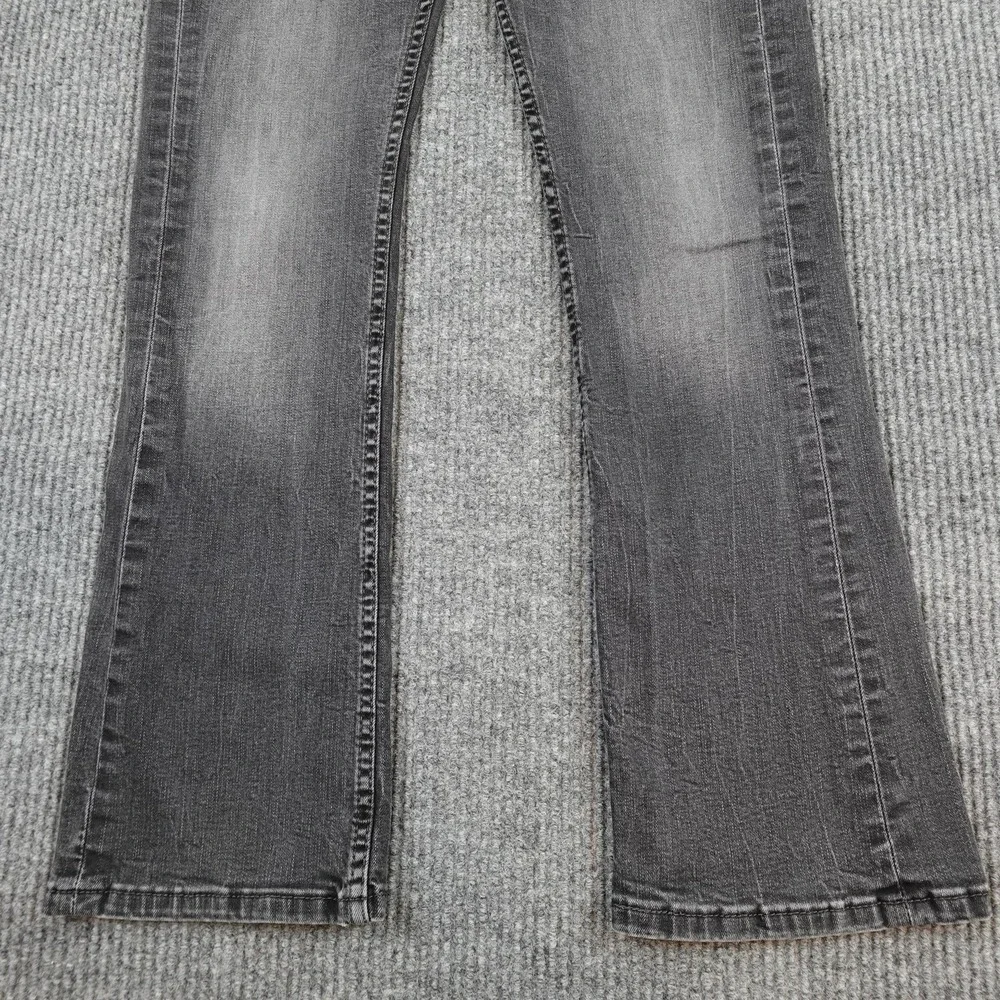 Levis levis 527